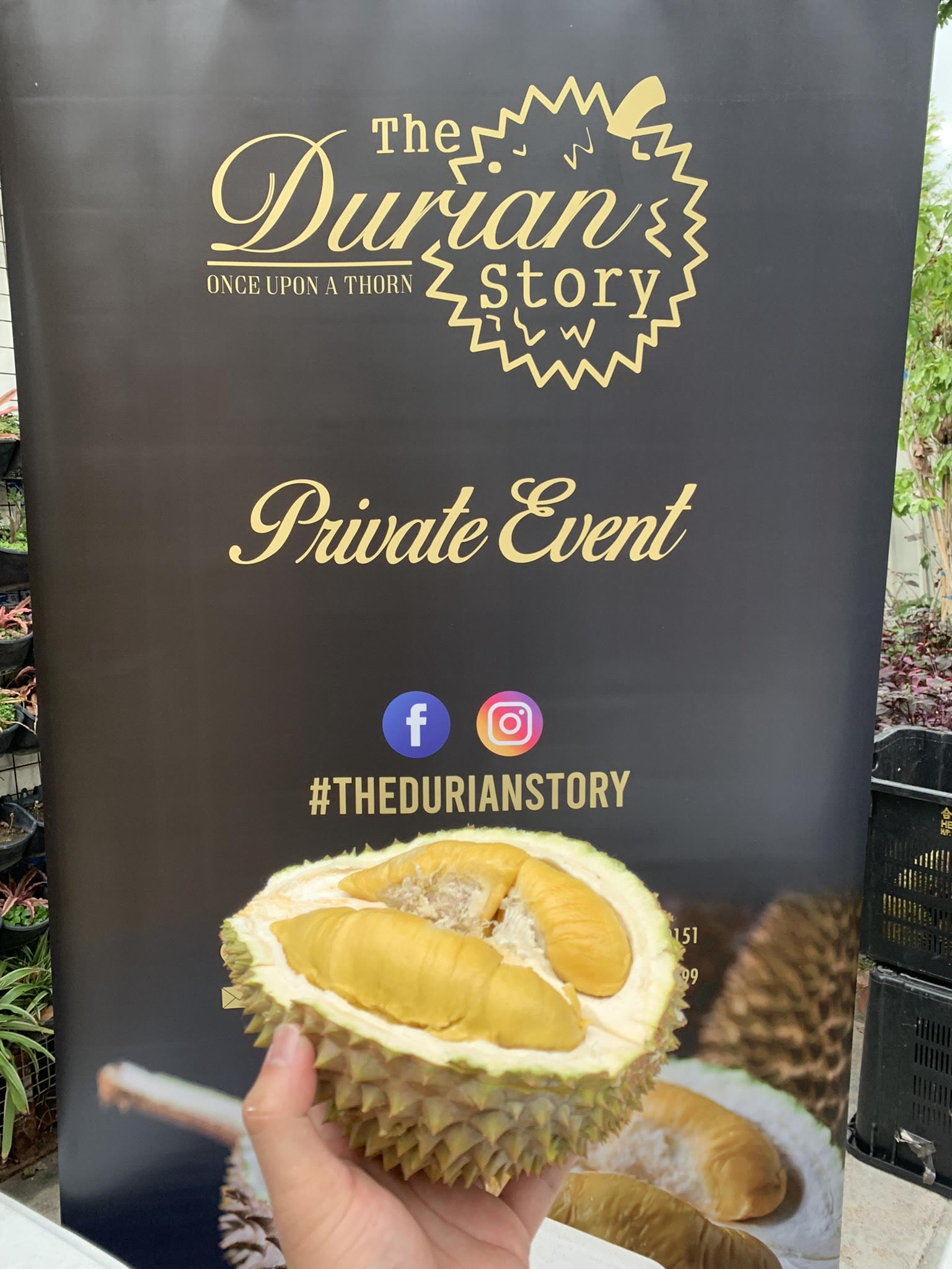 Corporate Durian Party with agency 